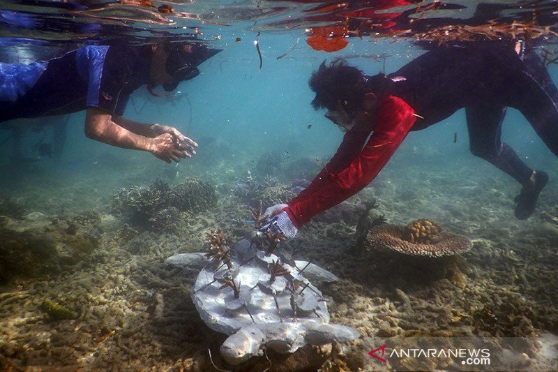 VN keurt verdrag goed om biodiversiteit in volle zee te beschermen